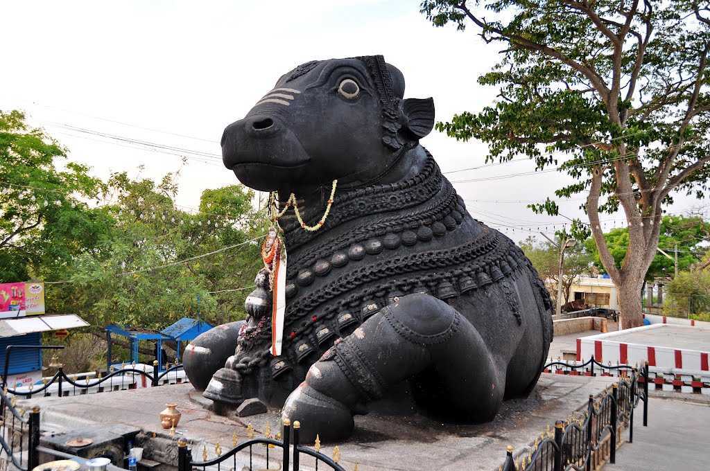 bull temple in Bangalore	