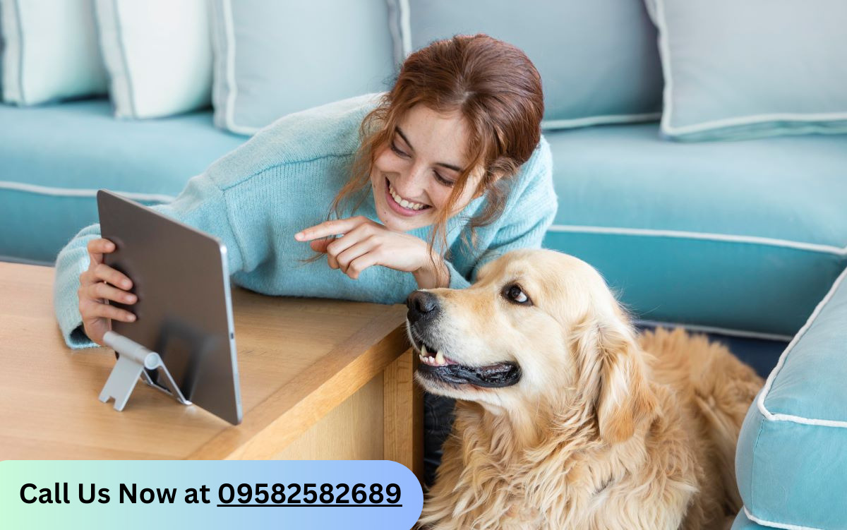 Dog Daycare in Ghaziabad